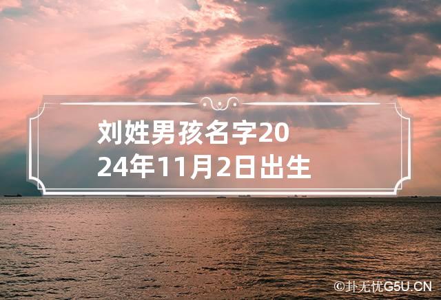 取什么名字,取名字生辰八字起名2024