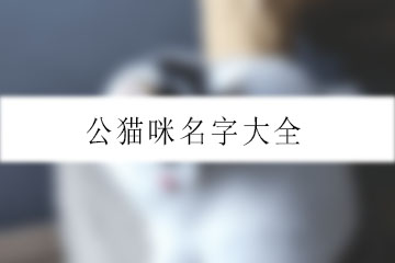 公猫咪名字大全