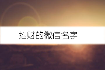 招财的微信名字