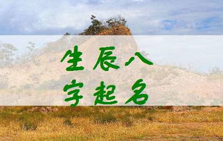 狗年龙姓宝宝起名大全,给孩子起名，姓龙