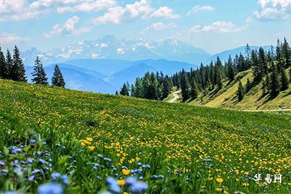 不同木命适合住的楼层