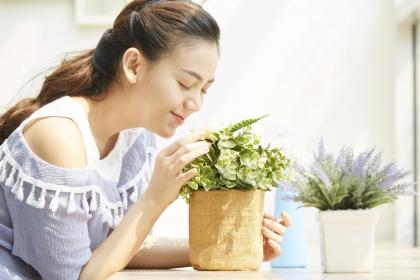 猫拦路必有缘故吗 白猫进宅必有一祸