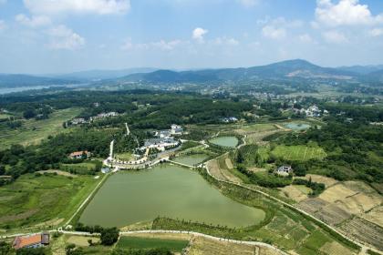 男性做哪些行业五行属土 五行属土职业解析